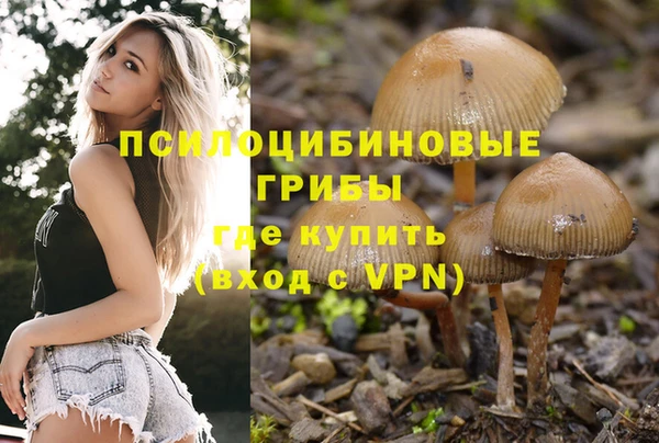 мдпв Белокуриха