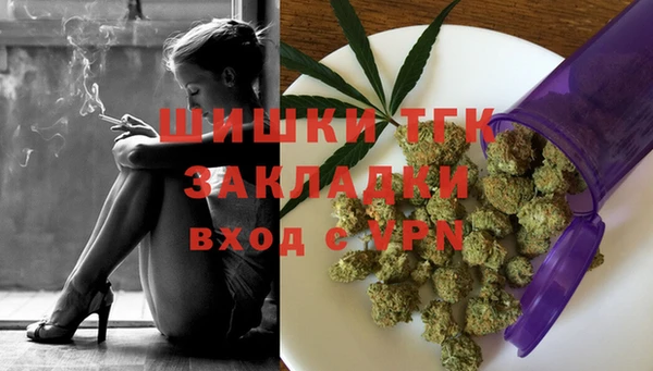 мдпв Белокуриха