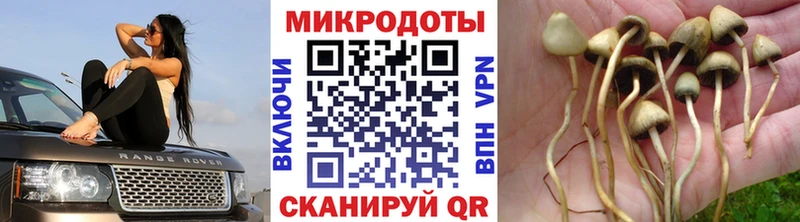 где продают   Курильск  Галлюциногенные грибы ЛСД 